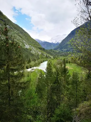 a river in a valley with trees and mountains at APARTMENT ALPIN BOVEC in Bovec