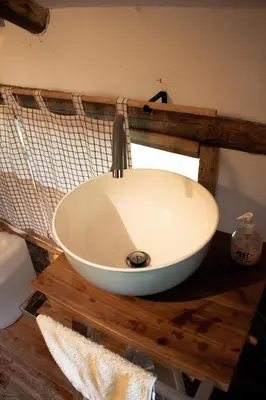 a bathroom sink with a bowl shaped sink on a wooden table at Cottage Trenta in Bovec