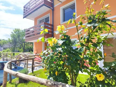 a house with a plant in front of it at Tree in Bled