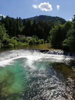 a river with a waterfall in the middle at Tree in Bled