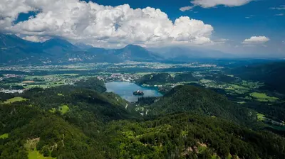 an aerial view of a valley with a lake and mountains at Tree in Bled
