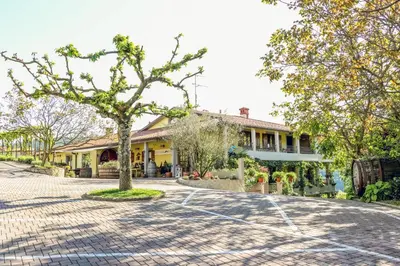 a house with a tree in the middle of a street at SOBE Andrejina in Branik