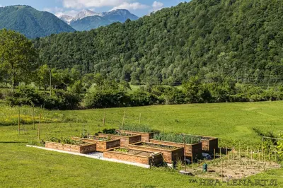 a field with four wooden boxes with plants at Hiša Lenart in Tolmin