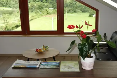 a table with a vase of flowers and a window at Hiša Lenart in Tolmin