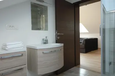 a bathroom with a sink and a glass door at Hiša Lenart in Tolmin