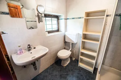 a small bathroom with a sink and a toilet at Hiska Rutar Valley Voje in Studor v Bohinju