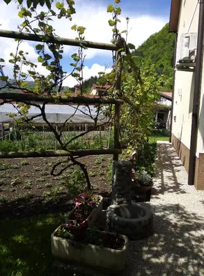 a garden with some plants in cement pots at Apartma Rutar in Tolmin