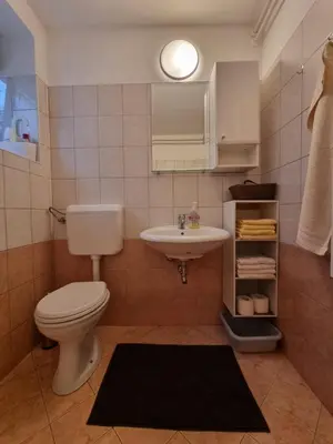 a bathroom with a toilet and a sink at Apartma Rutar in Tolmin