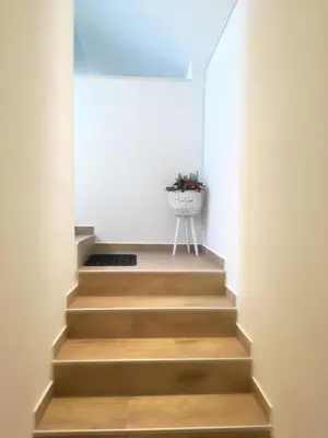 a stairway with a potted plant on the top at Apartment Kokoro in Bogojina