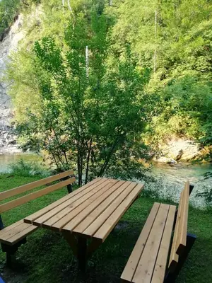 a wooden bench sitting next to a tree next to a river at Apartma Humar in Tolmin