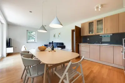 a kitchen and dining room with a wooden table and chairs at Villa Planina in Rateče