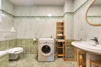 a bathroom with a washing machine and a sink at Villa Planina in Rateče