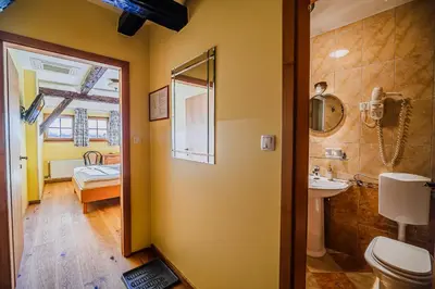 a bathroom with a toilet and a sink and a mirror at Bed & Breakfast Šilak in Ptuj