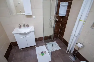 a bathroom with a shower and a toilet and a sink at Apartment Jezero Lake Bohinj in Bohinj