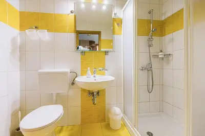 a bathroom with a toilet and a sink and a shower at Quercus Apartments Bled in Bled
