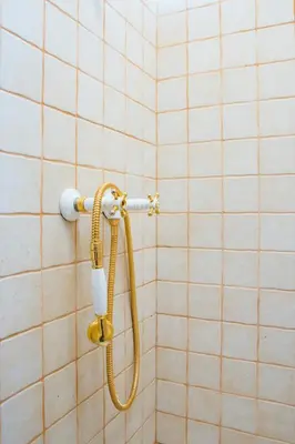a shower with a hose on a tiled wall at Vila Idila in Lendava