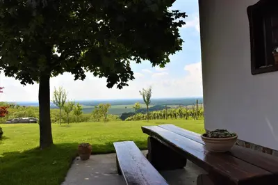 a wooden bench sitting next to a building with a tree at Vila Idila in Lendava