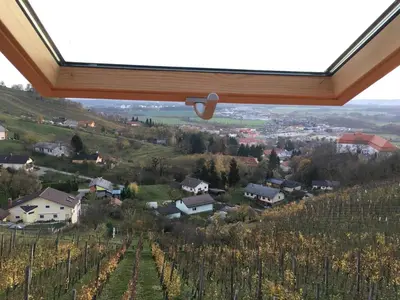 a view of a vineyard from a window of a winery at Brunarica Čontoš in Lendava