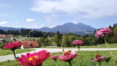 a field of flowers with mountains in the background at Holiday home Rozika in Slovenj Gradec
