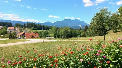 a field of flowers with mountains in the background at Holiday home Rozika in Slovenj Gradec