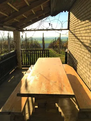 a wooden picnic table on a patio with a view at Pri konjskem pajdašu in Lendava