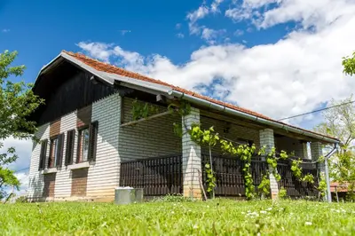 an old house with green grass in front of it at Pri konjskem pajdašu in Lendava