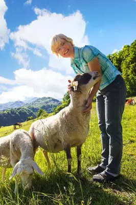 a young girl standing next to two sheep in a field at Farm Stay Pirc in Laško