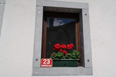 a window with a flower box with red flowers in it at Hostel Kobarid in Kobarid