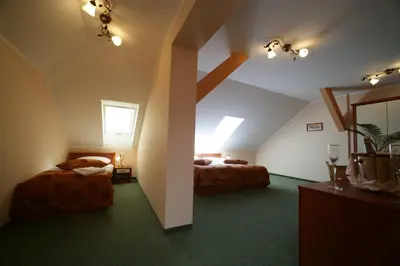 a attic room with two beds and green carpet at Hotel Aqua Roma in Rimske Toplice