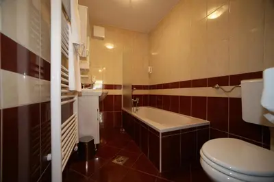 a bathroom with a toilet and a tub and a sink at Hotel Aqua Roma in Rimske Toplice