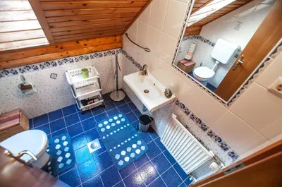 an overhead view of a bathroom with a toilet and a sink at Guest House Alenka in Bohinj
