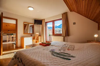 a bedroom with a large bed and a large window at Guest House Alenka in Bohinj