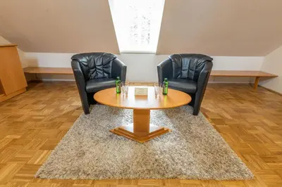 two chairs and a table in a room at Apartments Vila Golf - Flucher Turizem in Rogaška Slatina