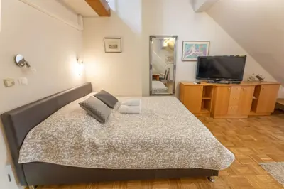 a bedroom with a bed and a flat screen tv at Apartments Vila Golf - Flucher Turizem in Rogaška Slatina