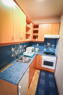 a small kitchen with wooden cabinets and a sink at Apartments Vila Golf - Flucher Turizem in Rogaška Slatina