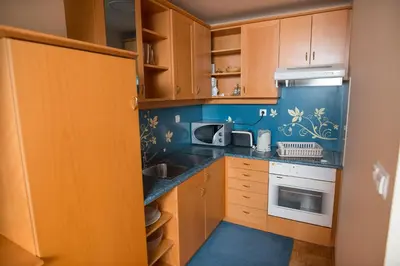a small kitchen with wooden cabinets and a sink at Apartments Vila Golf - Flucher Turizem in Rogaška Slatina