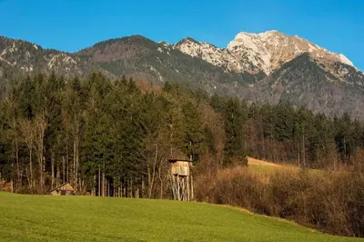 a bird house in a field with mountains in the background at Little dream house in a perfect spot in Zalog