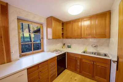 a kitchen with wooden cabinets and a sink and a window at Little dream house in a perfect spot in Zalog