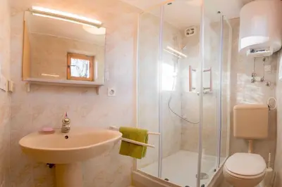 a bathroom with a shower and a sink and a toilet at Little dream house in a perfect spot in Zalog