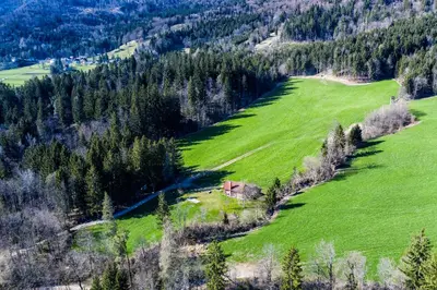 an aerial view of a green field and trees at Little dream house in a perfect spot in Zalog