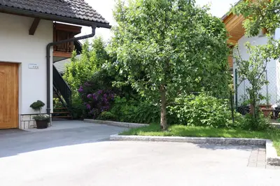 a tree in a yard next to a house at Lusht'n apartma in Žirovnica