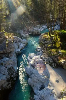 a river with rocks and the sun shining on it at Apartma Bubi in Bovec