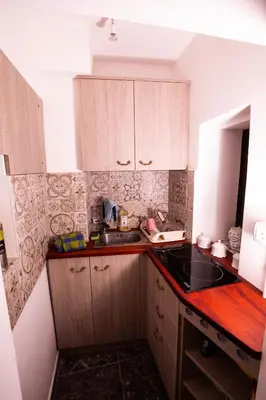 a small kitchen with wooden cabinets and a sink at Dežnik in Ljubljana