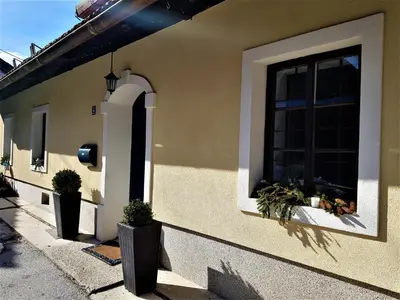 a building with a window and potted plants on it at The OldMillhouse in Mojstrana