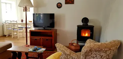 a living room with a tv and a wood stove at The OldMillhouse in Mojstrana
