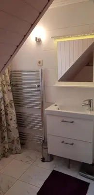 a bathroom with a sink and a mirror and a shower at The OldMillhouse in Mojstrana