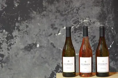 three bottles of wine sitting on a table at ČEBRON FAMILY ESTATE in Branik