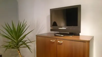 a television on top of a wooden cabinet with a plant at Bergmannhaus in Zagorje ob Savi