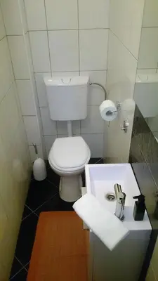 a bathroom with a white toilet and a sink at Bergmannhaus in Zagorje ob Savi