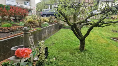 a garden with a tree in the middle of a yard at Bergmannhaus in Zagorje ob Savi